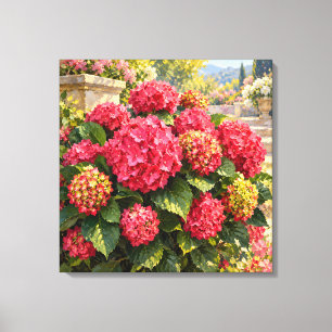 Radiant Pink Hydrangeas in Golden Garden Light Canvas Print