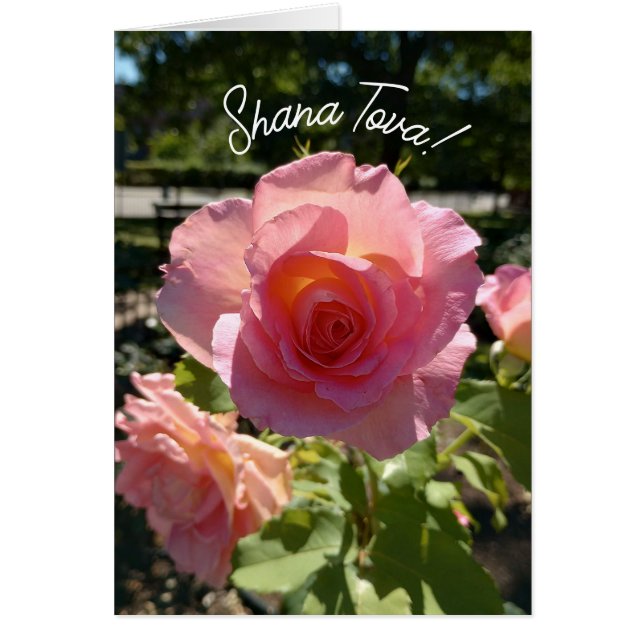 Radiant Pink Tea Rose Rosh Hashanah Card (Front)