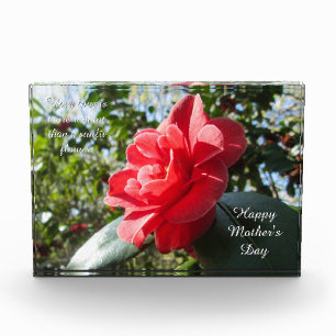 Radiant Red Camellia - Personalised Photo Block
