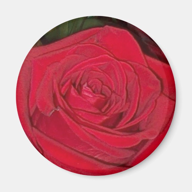 Radiant Red Rose Magnet (Front)
