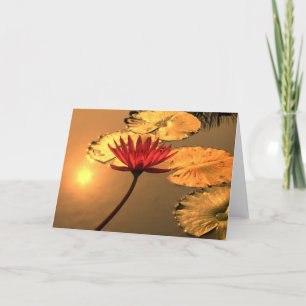 Radiant Water Lily with Spiritual Message Card
