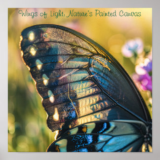 Radiant Wings: Macro Butterfly Detail Poster