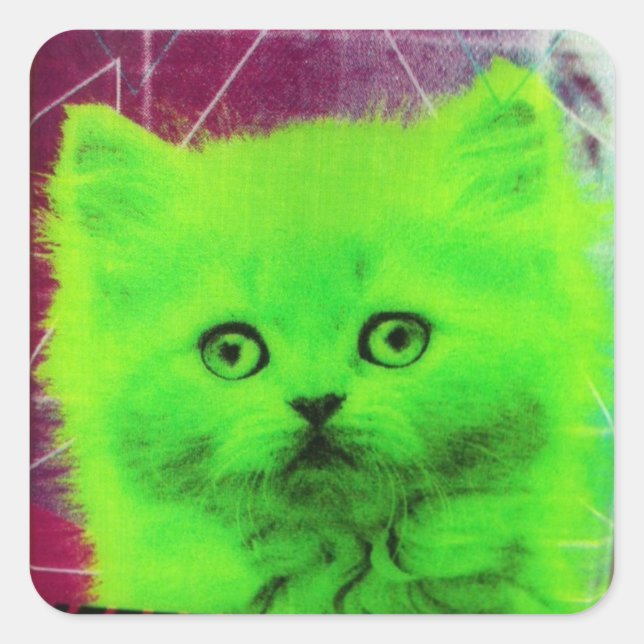 radioactive cat square sticker (Front)