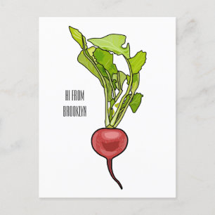 Radish cartoon illustration postcard