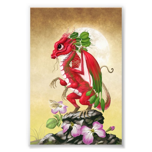 Radish Dragon 4x6 Print (Front)