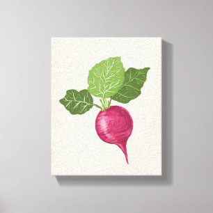 Radish kitchen wall decor (vegetable illustration)