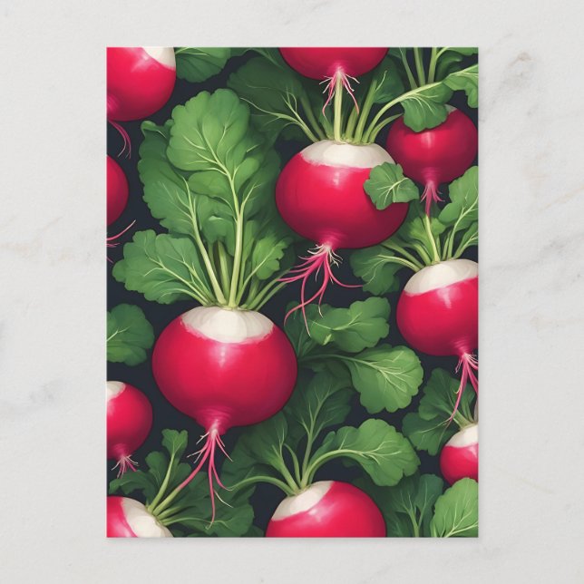 Radish Pattern Fresh Vegetable Postcard (Front)
