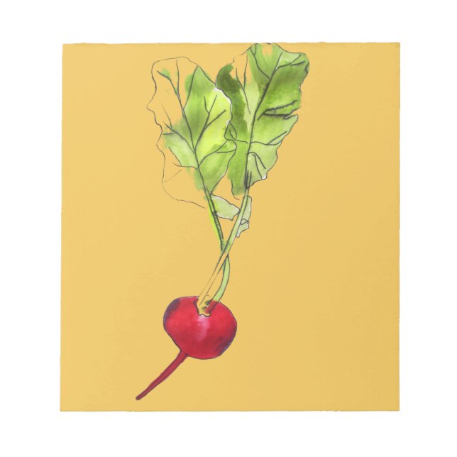 Radish vegetable watercolour illustration art notepad (Front)