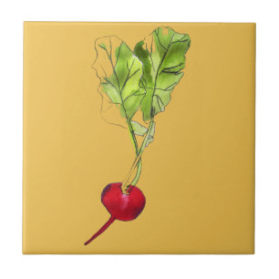 Radish vegetable watercolour illustration art tile