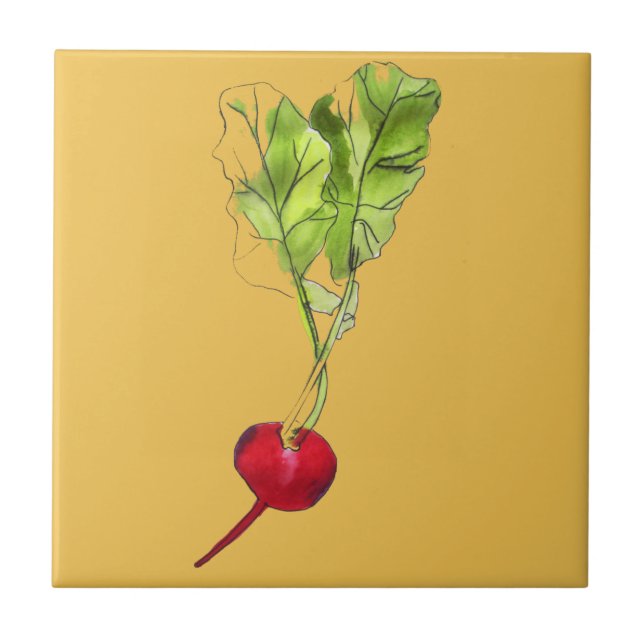 Radish vegetable watercolour illustration art tile (Front)