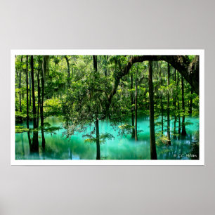 Radium Spring, Albany, Georgia Poster