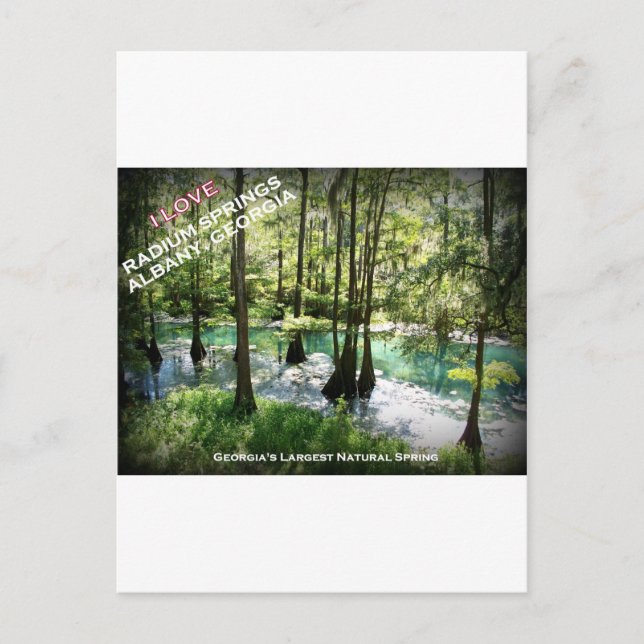 RADIUM SPRINGS - Albany, Georgia Postcard (Front)