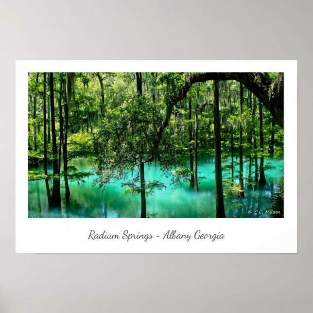 Radium Springs ~ Albany Georgia Poster (Front)