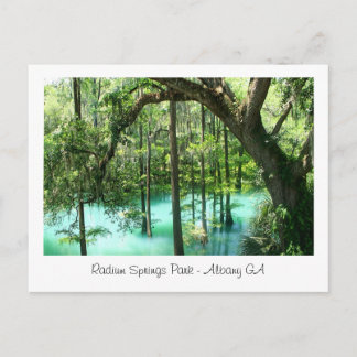 Radium Springs Park, Albany GA Postcard