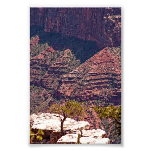 Rafinesque Watches Photo Print