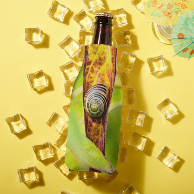 Rafraichisseur De Bouteilles fixation calme (Été in situ)