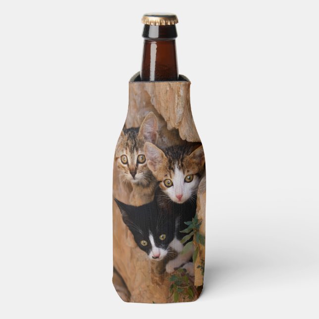 Rafraichisseur De Bouteilles Trois chatons curieux (Bottle Devant)