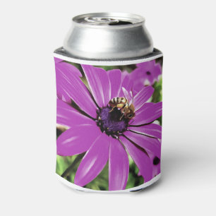 Rafraichisseur De Cannettes Honey Bee Sur Un Daisy Africain Violet