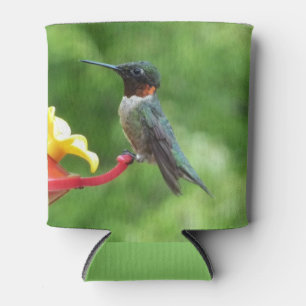 Rafraichisseur De Cannettes Photographie d'oiseau Colibri à gorge rubis