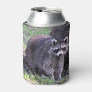 Rafraichisseur De Cannettes Rocky le Raccoon