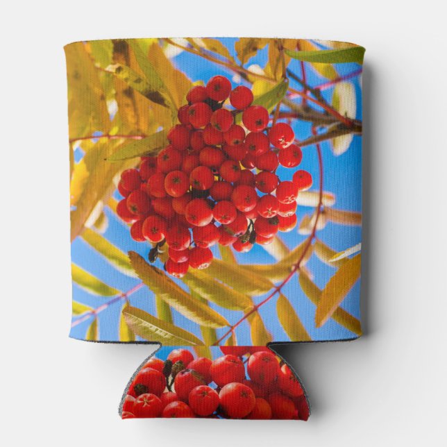 Rafraîchisseur Pour Canette Ashberry (Dos)