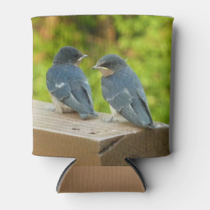 Rafraîchisseur Pour Canette Bébé Grange hirondelle Nature Oiseau Photographie