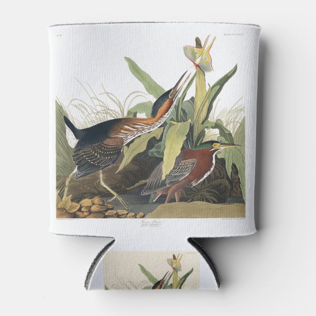 Rafraîchisseur Pour Canette Birds of America (1827) by John James Audubon (Devant)