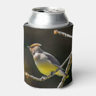 Rafraîchisseur Pour Canette Cèdre cire Songbird Photo originale Oiseau sauvage