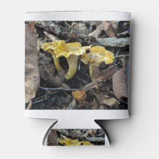 Rafraîchisseur Pour Canette Chanterelle, Cantharellus cibarius