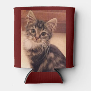 Rafraîchisseur Pour Canette Chats Chatons Chatons Chatons Isolés