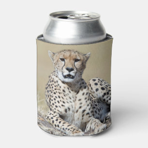 Rafraîchisseur Pour Canette Cheetah au Masai Mara au Kenya photo