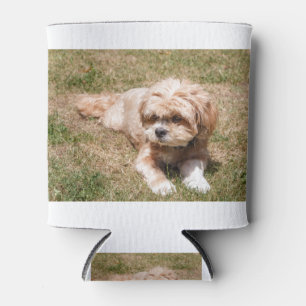 Rafraîchisseur Pour Canette Chien Lhasa Apso