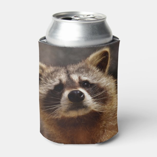 Rafraîchisseur Pour Canette Curieux Raccoon (Can devant)