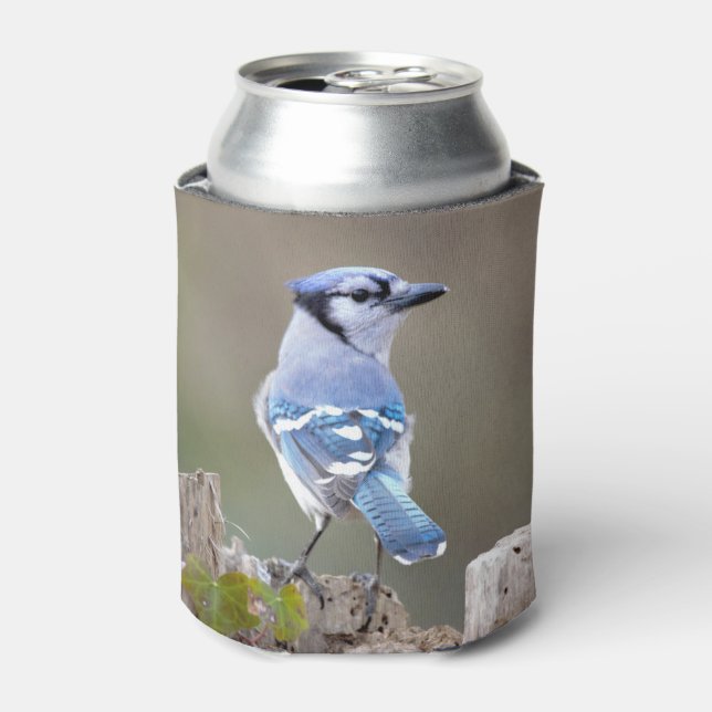 Rafraîchisseur Pour Canette Cute Bleu Jay Songbird sur Treestump (Can devant)