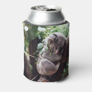 Rafraîchisseur Pour Canette Cute Koala Ours se relaxant dans un arbre
