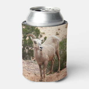 Rafraîchisseur Pour Canette Drôle Mouton de Bighorn dans le parc national Zion