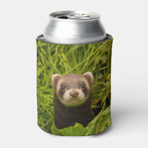 Rafraîchisseur Pour Canette Ferret Brown mignon dans l'herbe photo
