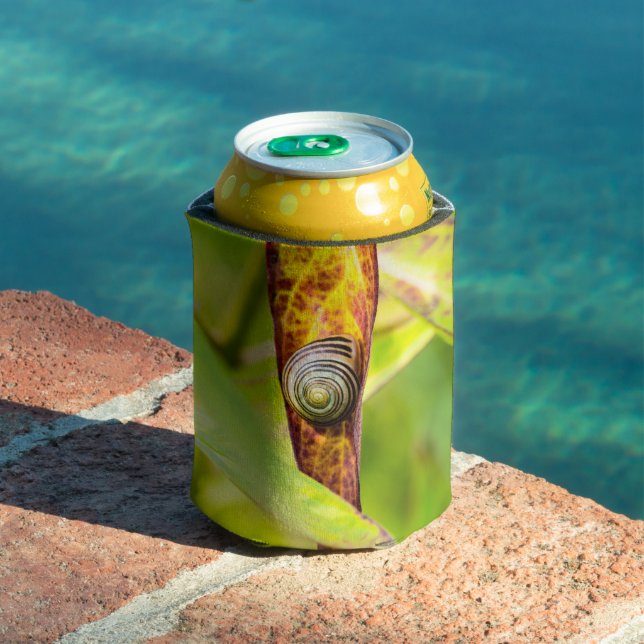 Rafraîchisseur Pour Canette fixation calme (Piscine in situ)