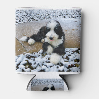 RAFRAÎCHISSEUR  POUR CANETTE IMG_9916