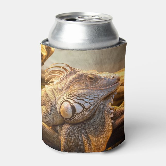 Rafraîchisseur Pour Canette Nom de Dragon Iguana (Can devant)