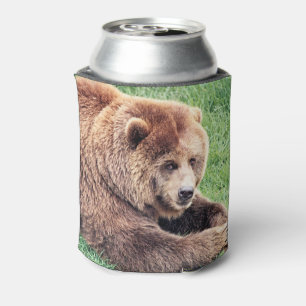 Rafraîchisseur Pour Canette Photographie d'ours brun câlin