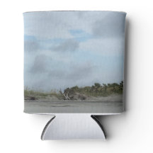 Plage de l'île de Tybee