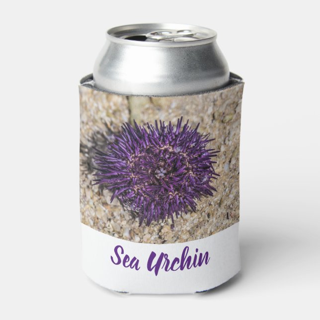 Rafraîchisseur Pour Canette Sea Urchin Ocean Beach Vacances Souvenir d'été (Can devant)