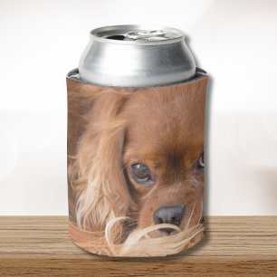Rafraîchisseur Pour Canette Spaniel Cavalier King Charles Ruby