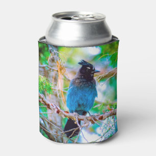 Rafraîchisseur Pour Canette Steller's Jay - Photographie originale