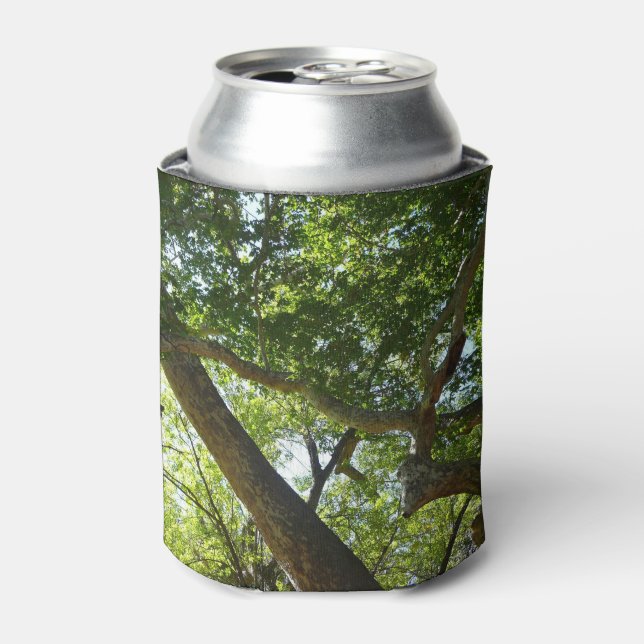 Rafraîchisseur Pour Canette Sycamore Tree Nature verte (Can devant)