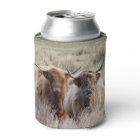 Vaches écossaises des Highlands