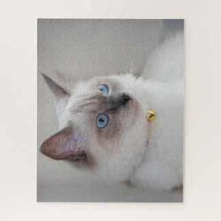 Rag Doll Cat Jigsaw Puzzle