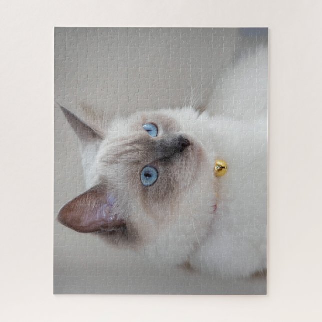 Rag Doll Cat Jigsaw Puzzle (Vertical)
