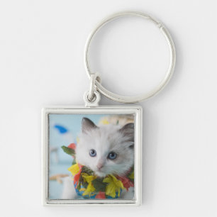 Rag Doll Kitten and Summer Vacation Keychain